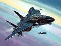 Model Set F-14A Tomcat "Black Bu