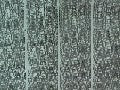 FEUILLE DE RUE PAVE