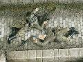 BLESSES SOVIETIQUE WW2   1/35