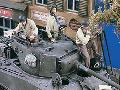 EQUIPAGE US AFV WW2 x 3  1/35