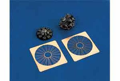 KIT P&W 2800 RADIAL+CYL. 1/48