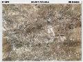 PLANCHES MARBRES           TE