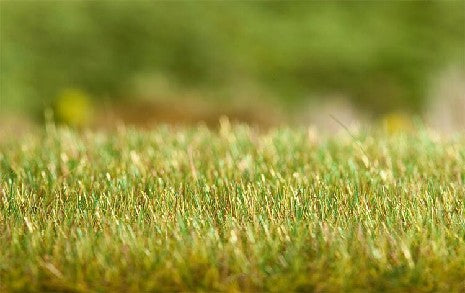 Appareil d'Enherbage Gras pour Maquettes et Décors