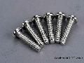Screws, 5x20mm roundhead self-tapping (6)