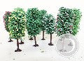 10 ARBRES FRUITIER HO