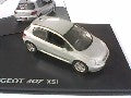 307 XSI GRIS