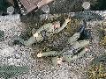 ACCIDENTS JAPONAIS       1/35
