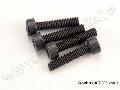 Screws, 2.5x12mm cap-head machine (6)