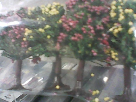 4 ARBRES FLEURIS N