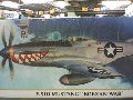 F-51D MUSTANG KOREAN WAR