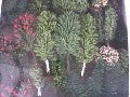 LOT 50 ARBRE HO