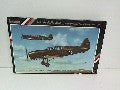 Maquette NARDI F N 305 LUFTWA 1/72 - Véhicule Militaire