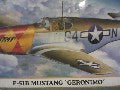 GERONIMO  P 51B  MUSTANG 1/72