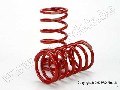 Spring, shock (red) (GTR) (4.1 rate tan) (1 pair)