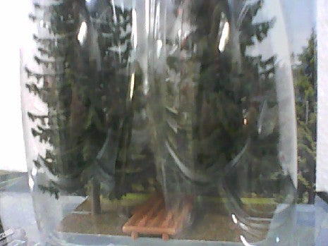 2 SAPINS 170 ET 195 MM