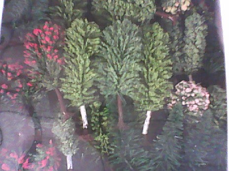 LOT 50 ARBRE HO